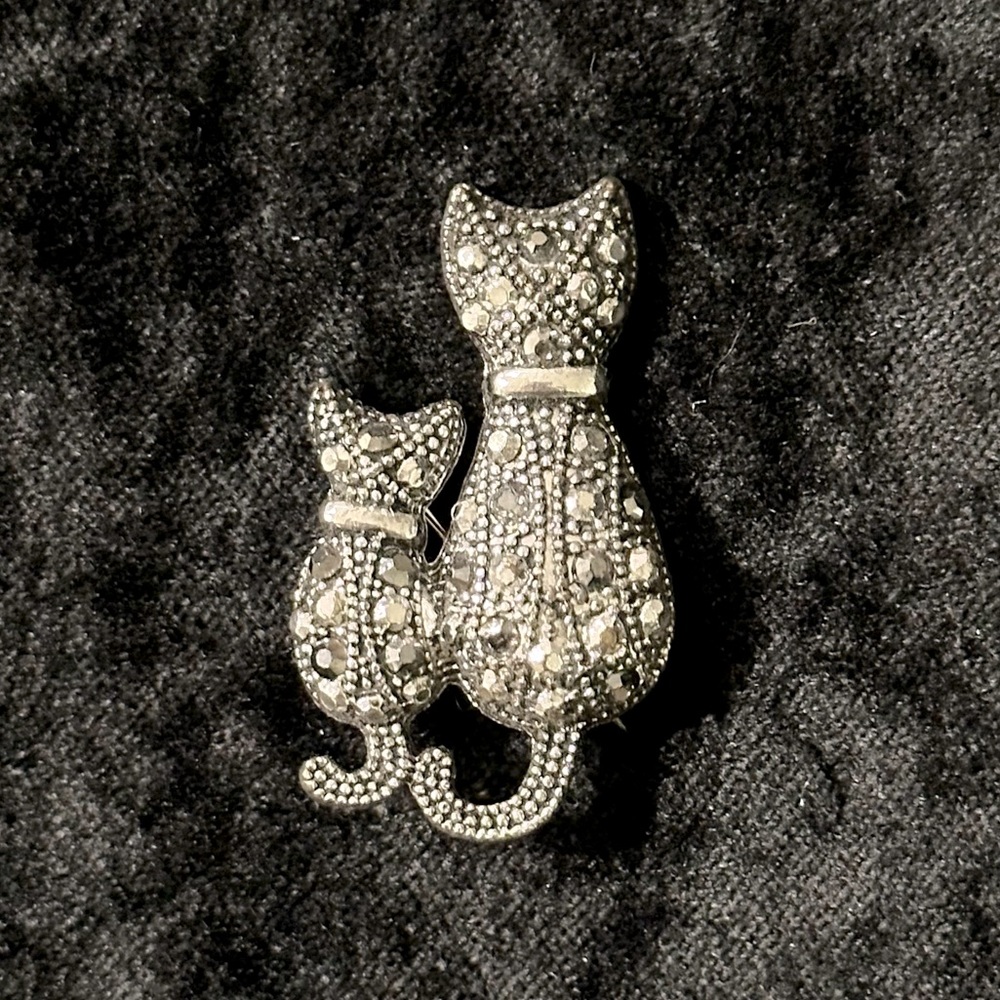 Adorable cat with kitten pin
